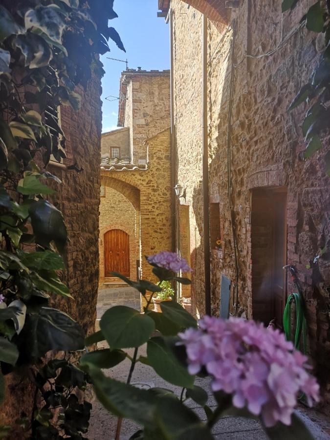 Bed and Breakfast Antico Borgo Di Torri Sovicille Exterior foto