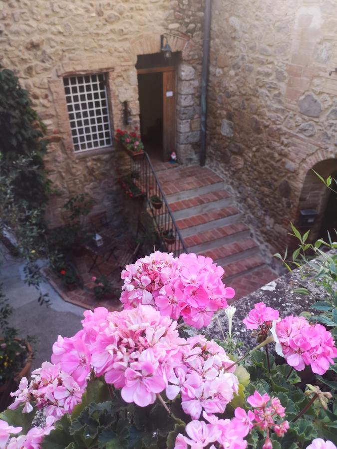 Bed and Breakfast Antico Borgo Di Torri Sovicille Exterior foto