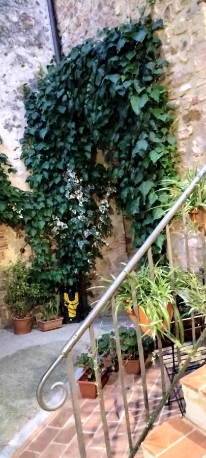 Bed and Breakfast Antico Borgo Di Torri Sovicille Exterior foto